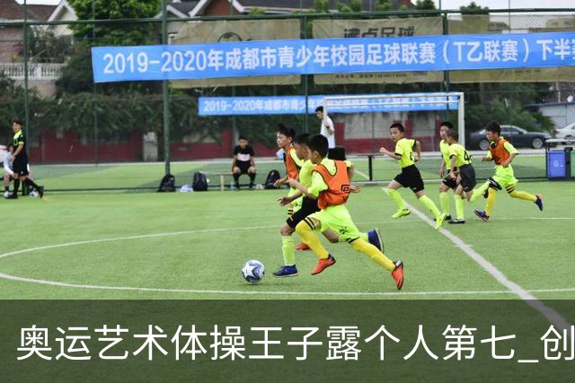 奥运艺术体操王子露个人第七 创中国历史最好成绩