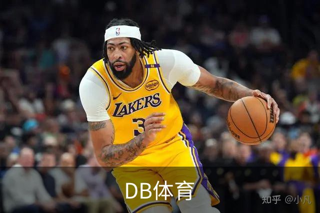 DB体育 公司介绍